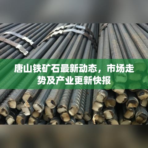唐山铁矿石最新动态，市场走势及产业更新快报