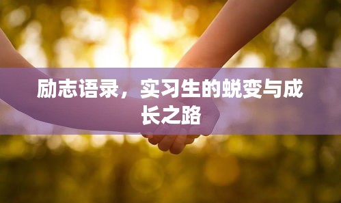 励志语录，实习生的蜕变与成长之路