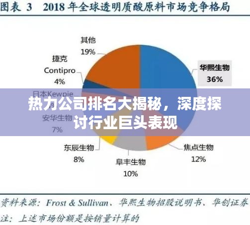 热力公司排名大揭秘，深度探讨行业巨头表现