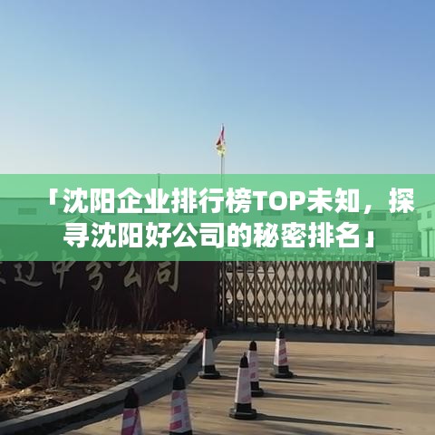 「沈阳企业排行榜TOP未知，探寻沈阳好公司的秘密排名」