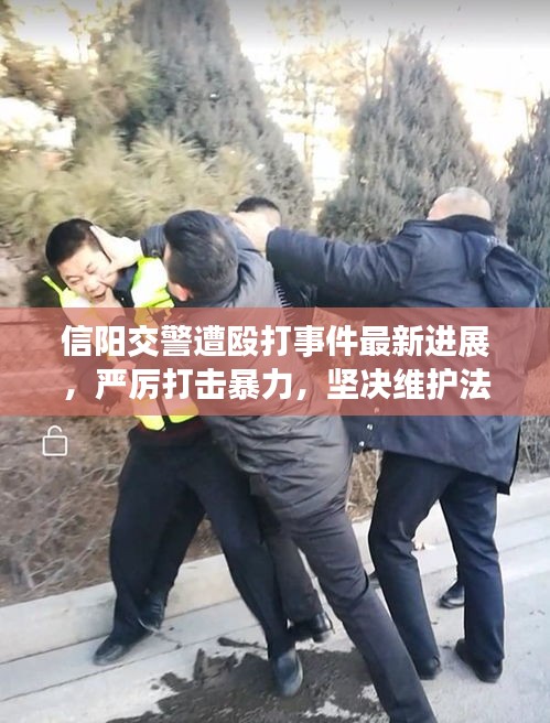 信阳交警遭殴打事件最新进展，严厉打击暴力，坚决维护法治权威