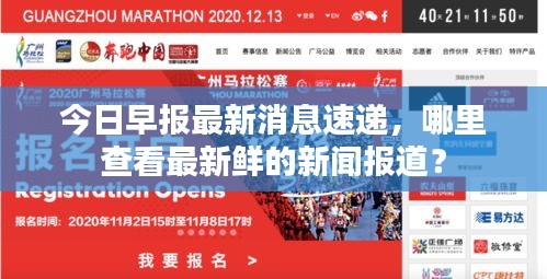 今日早报最新消息速递，哪里查看最新鲜的新闻报道？