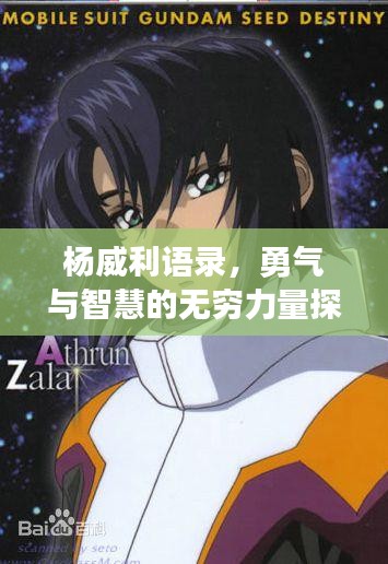解决方案 第43页