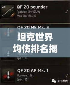 坦克世界均伤排名揭秘，战场上的伤害霸主榜单！