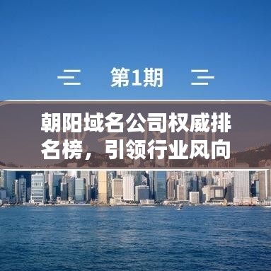 朝阳域名公司权威排名榜，引领行业风向标！