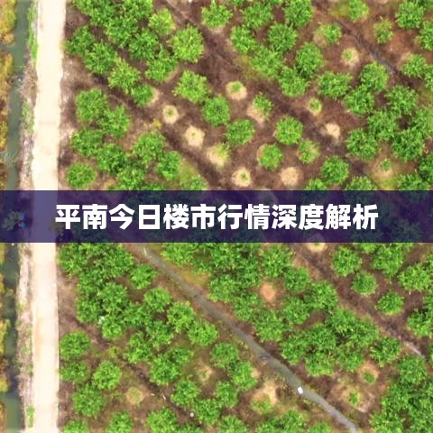 平南今日楼市行情深度解析