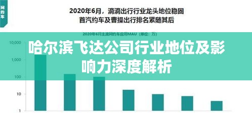 哈尔滨飞达公司行业地位及影响力深度解析