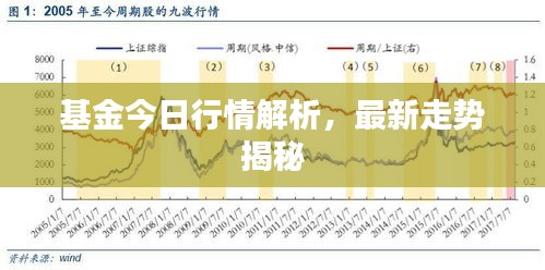 基金今日行情解析，最新走势揭秘
