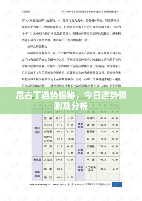 鸟入樊笼