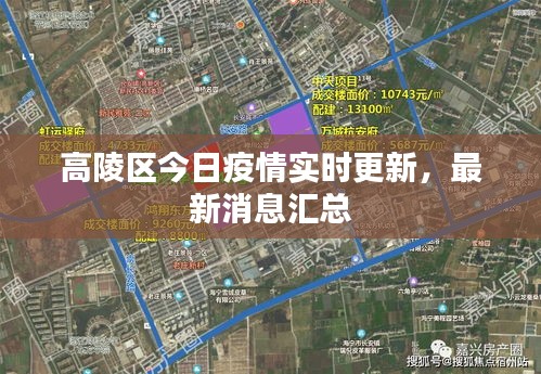 还淳返朴