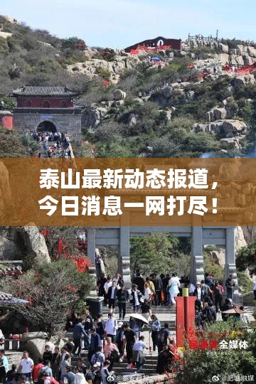 泰山最新动态报道，今日消息一网打尽！