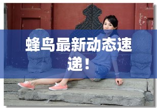 蜂鸟最新动态速递！