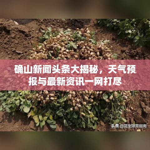 确山新闻头条大揭秘，天气预报与最新资讯一网打尽