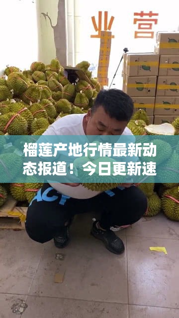 榴莲产地行情最新动态报道！今日更新速递