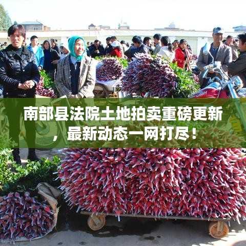 南部县法院土地拍卖重磅更新，最新动态一网打尽！