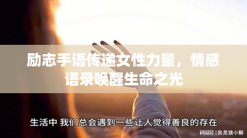 产品知识 第13页