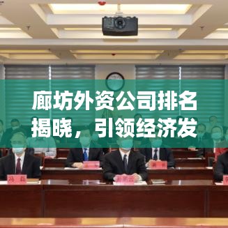 廊坊外资公司排名揭晓，引领经济发展的龙头企业榜单