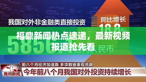 福鼎新闻热点速递，最新视频报道抢先看