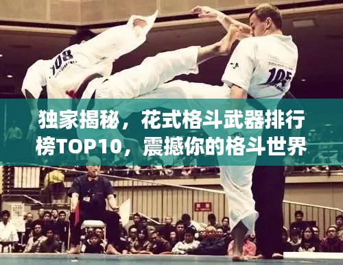 独家揭秘，花式格斗武器排行榜TOP10，震撼你的格斗世界！