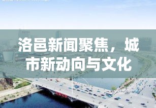 洛邑新闻聚焦，城市新动向与文化盛宴齐呈