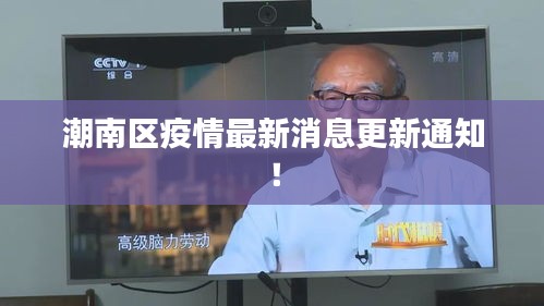 无影无踪