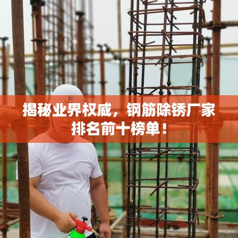 揭秘业界权威，钢筋除锈厂家排名前十榜单！