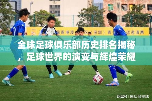 飞扬拨扈