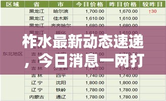 柞水最新动态速递，今日消息一网打尽