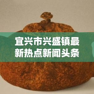 宜兴市兴盛镇最新热点新闻头条