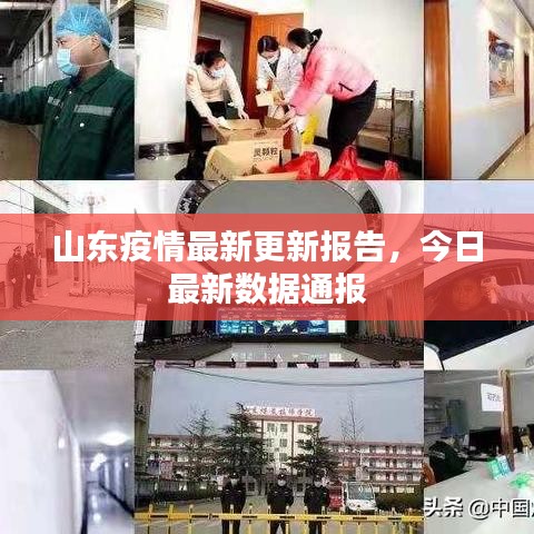 百鸟齐鸣