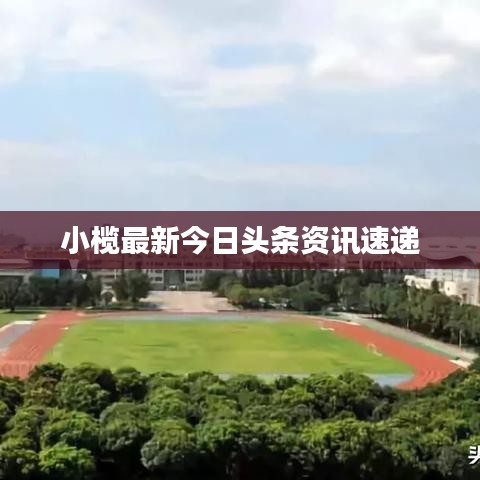 解决方案 第5页