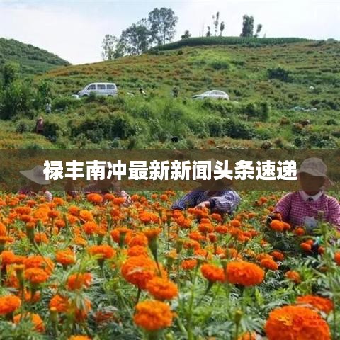 解决方案 第3页