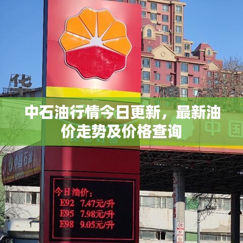 中石油行情今日更新，最新油价走势及价格查询