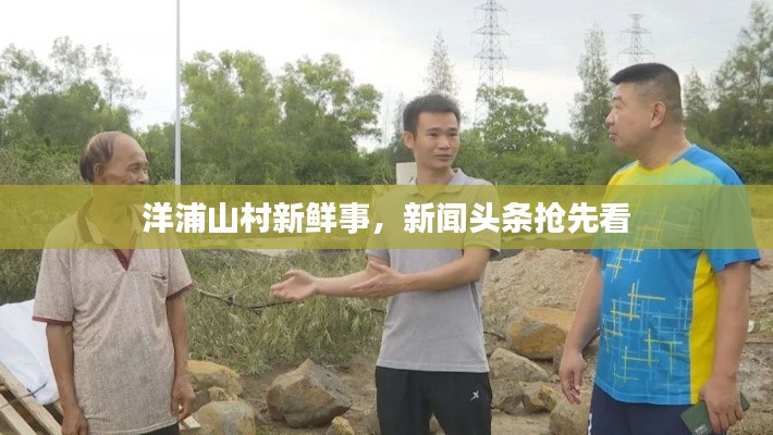 洋浦山村新鲜事，新闻头条抢先看