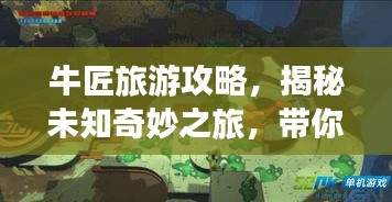 2025年5月15日