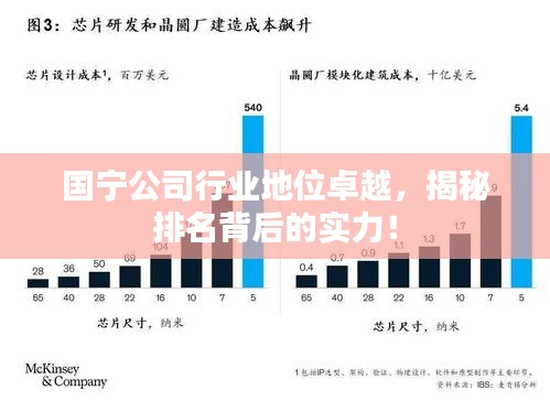 国宁公司行业地位卓越，揭秘排名背后的实力！