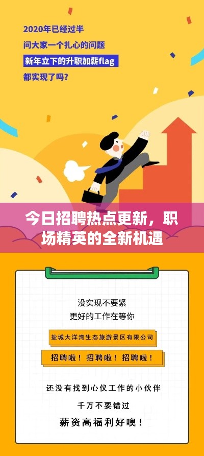 今日招聘热点更新，职场精英的全新机遇