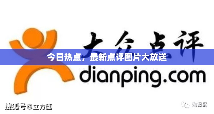今日热点，最新点评图片大放送