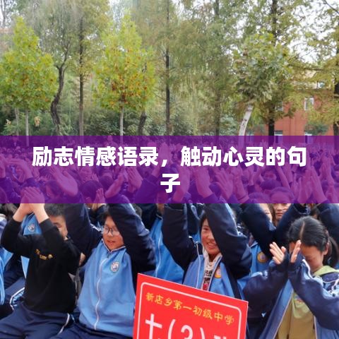 励志情感语录，触动心灵的句子