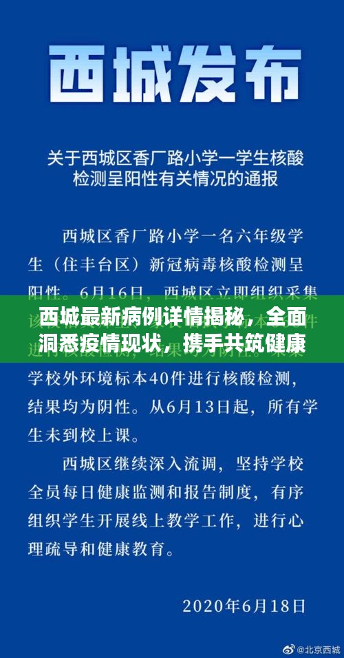 西城最新病例详情揭秘，全面洞悉疫情现状，携手共筑健康防线