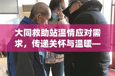 大同救助站温情应对需求，传递关怀与温暖——新闻报道头条