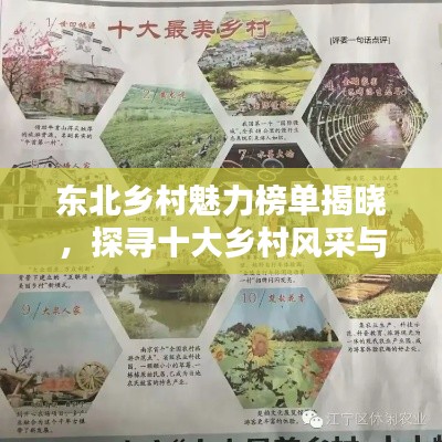 临危不惧