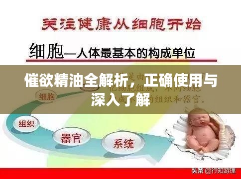 2025年6月7日 第4页