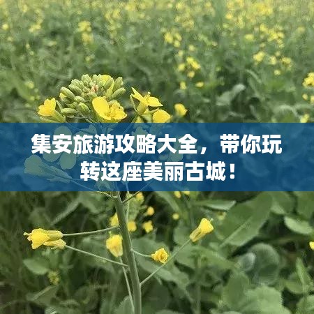 展翅欲飞