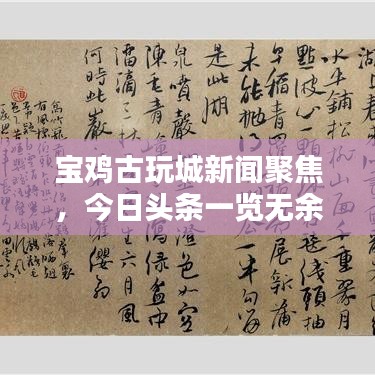 宝鸡古玩城新闻聚焦，今日头条一览无余