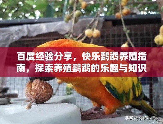通宵达旦