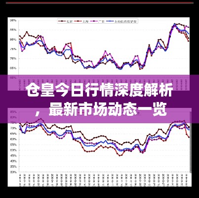 仓皇今日行情深度解析，最新市场动态一览