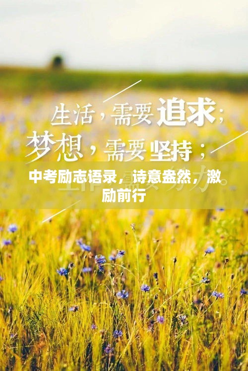 中考励志语录，诗意盎然，激励前行