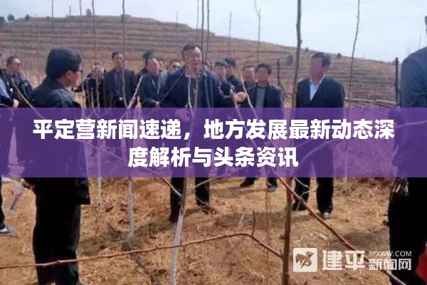 平定营新闻速递，地方发展最新动态深度解析与头条资讯