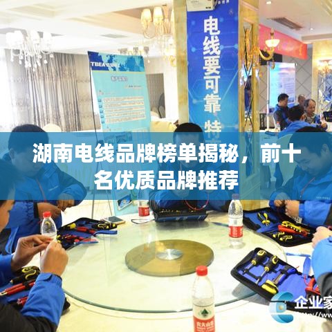 湖南电线品牌榜单揭秘，前十名优质品牌推荐